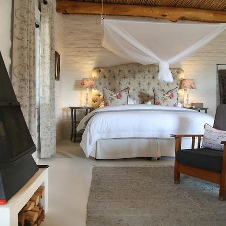 Dennehof Karoo Guesthouse Prince Albert Exteriör bild
